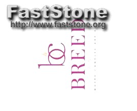 Why You Need a Vector Logo